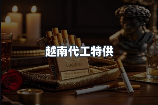 越南代工特供